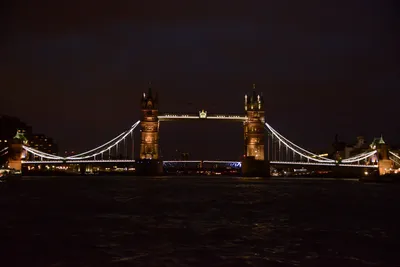 DSC_5700 (Large).JPG